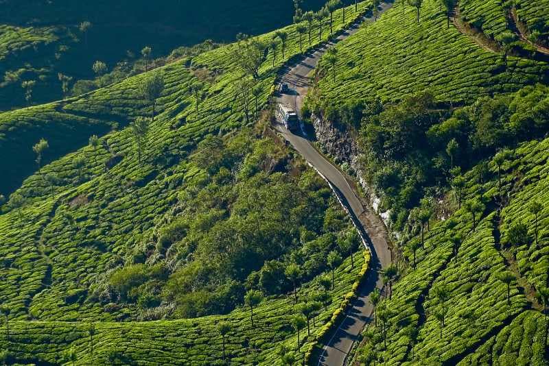 Kolukkumalai Safari