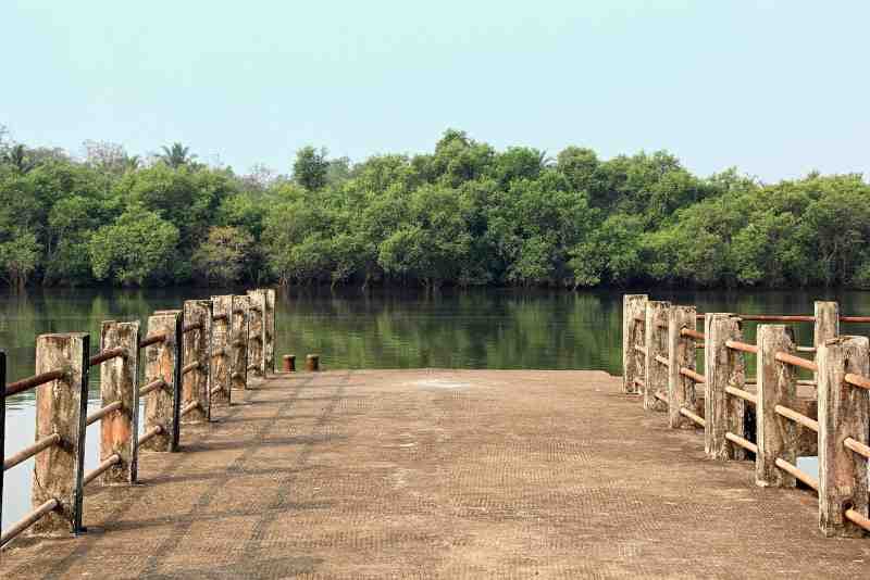 Mandovi 