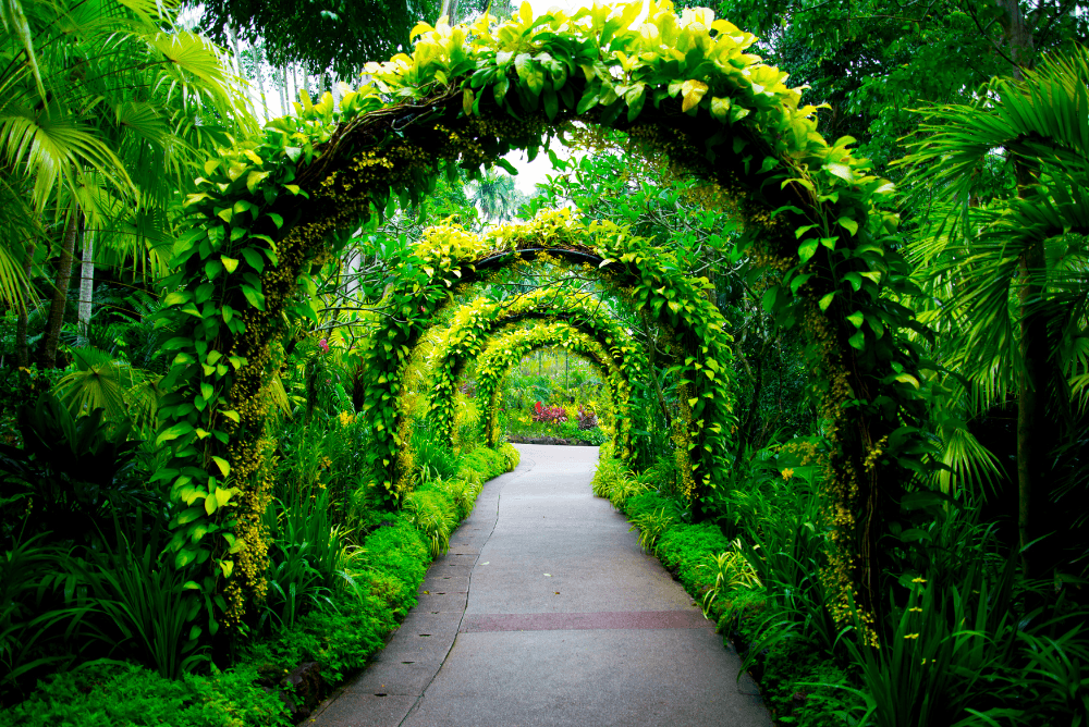 5 days Singapore tour package