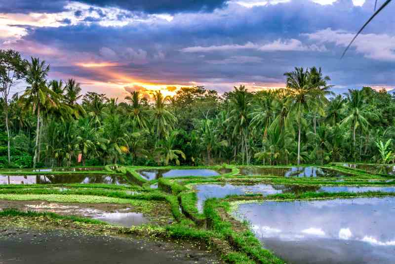  Ubud Village