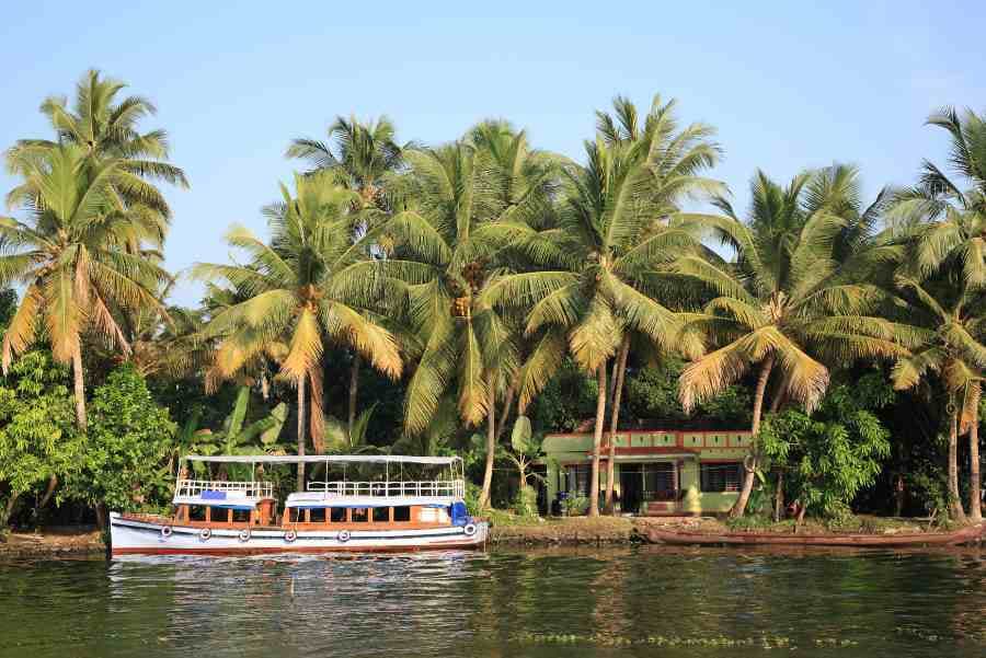 Backwater Cruise