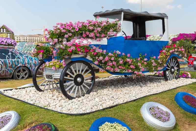 Miracle Garden