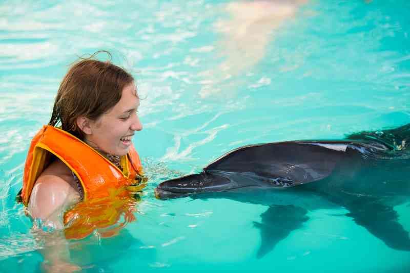 dolphin Maldives