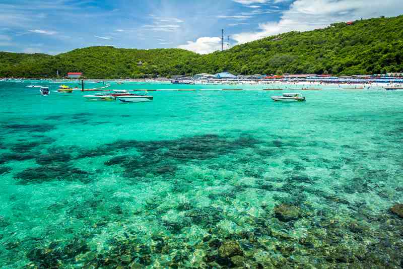 Coral island pattaya