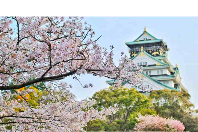  Japan 