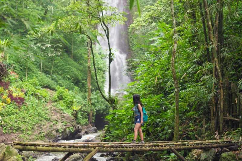 Munduk Jungle