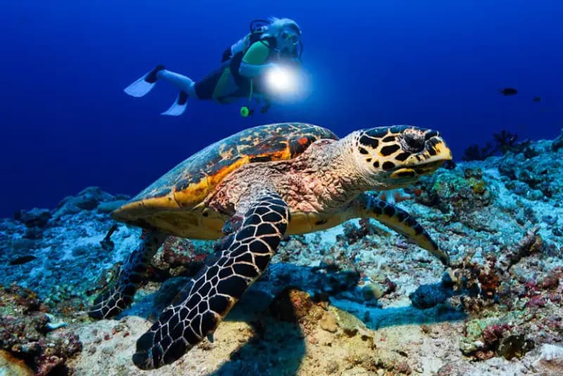 Explore Maldives