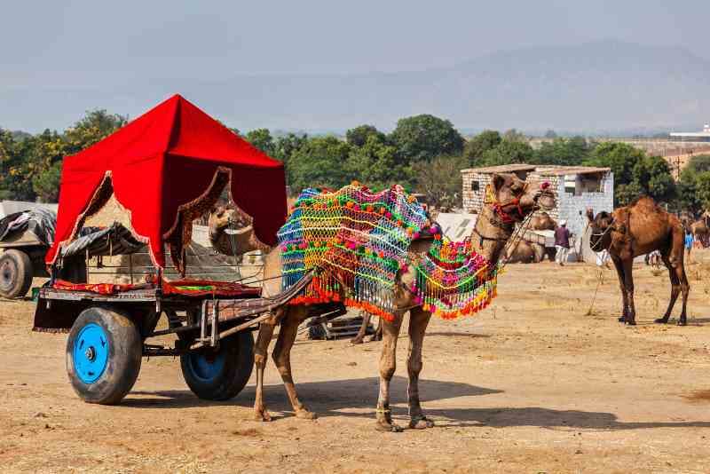 Pushkar.