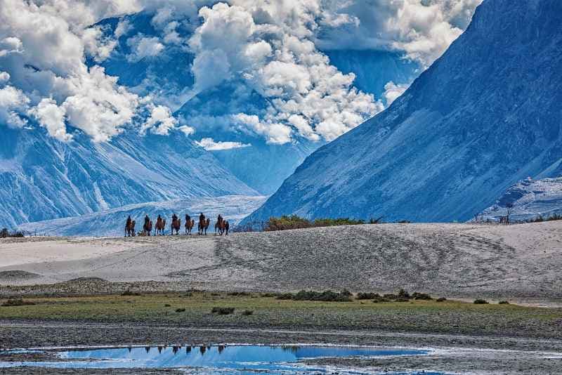leh ladakh tou package