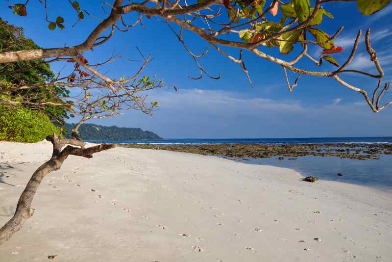 Havelock Island