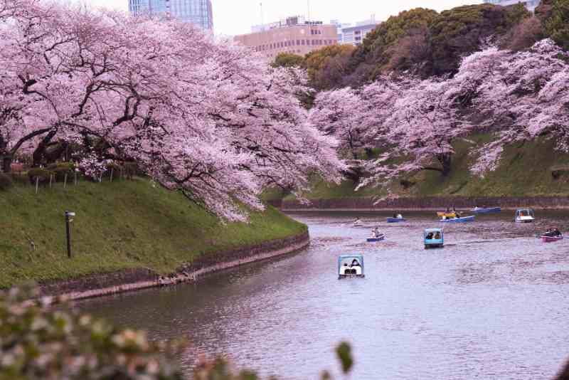Tokyo