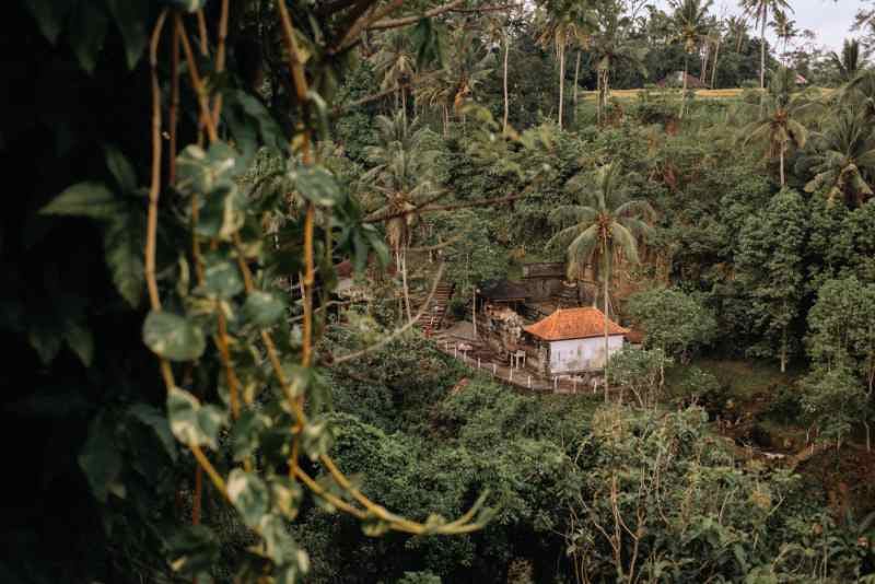 Ubud Village 