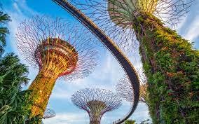 Unveiling Love in Singapore: Exclusive Discounts with Gardens By The Bay
