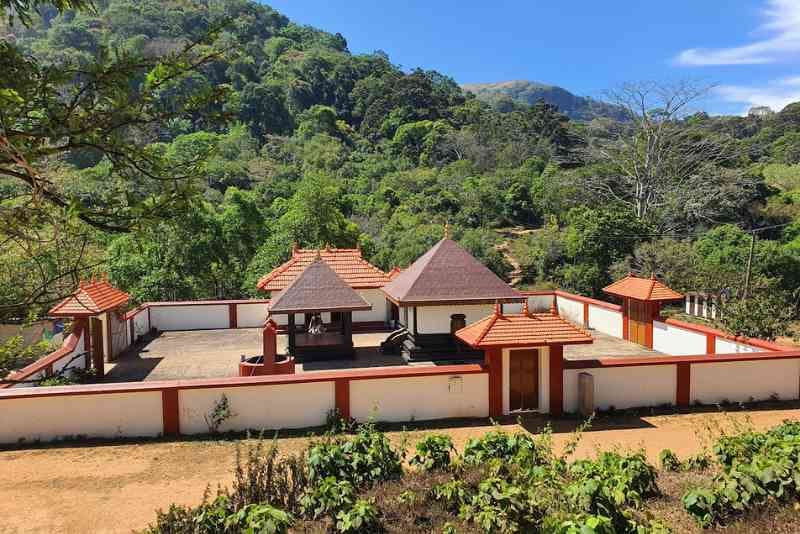 Honeymooning in Nature's Paradise: 5 Days in Kerala