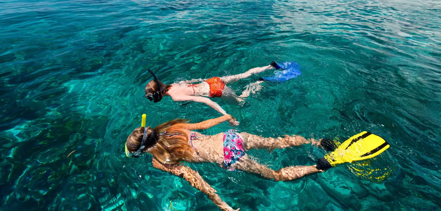  snorkeling at menjangan island