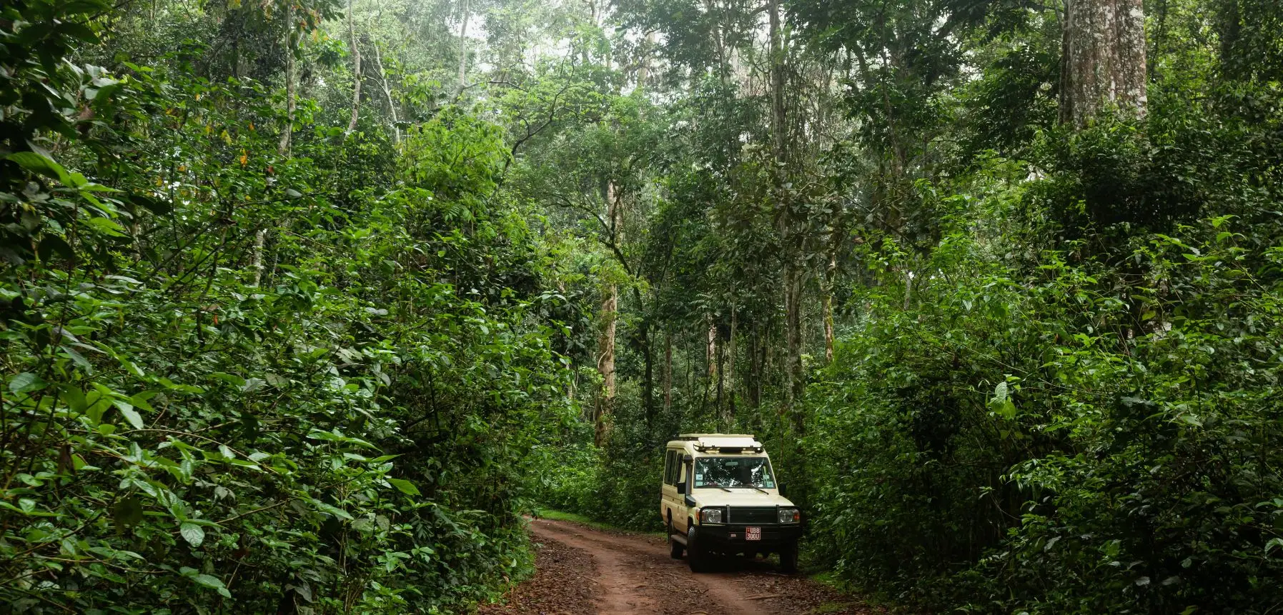 Periyar Wildlife Sanctuary Jeep Safari