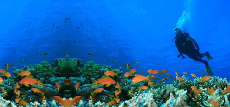 Uma Guva Reef