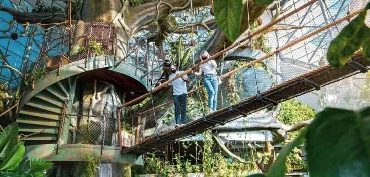 best things to do in dubai