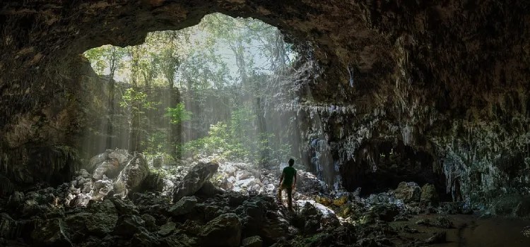 Eco Cave Gardens