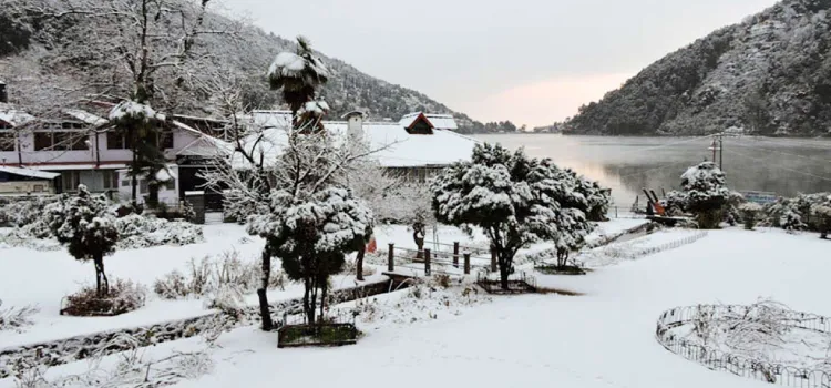 Snow View Point