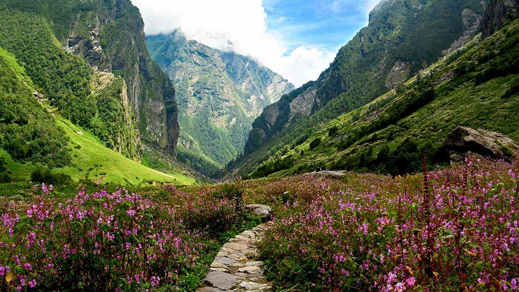 Valley of flowers Trek