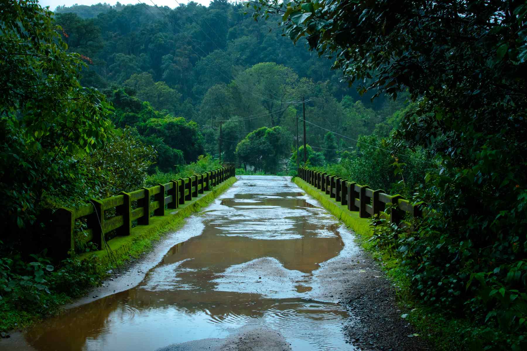 tripzygo-best-places-to-visit-in-india-during-monsoon