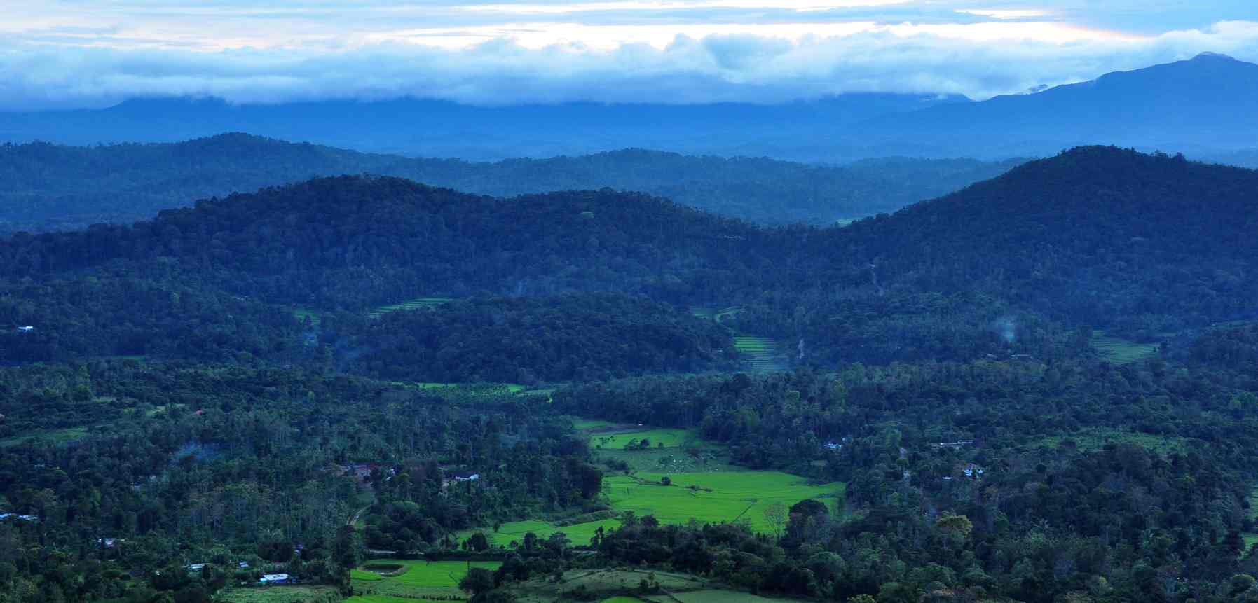 Coorg