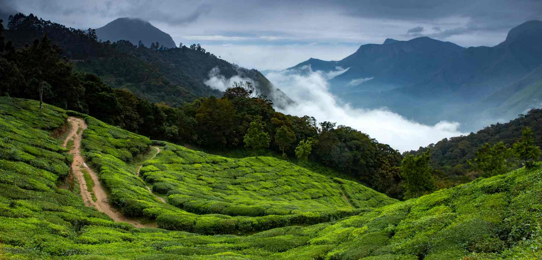 Munnar