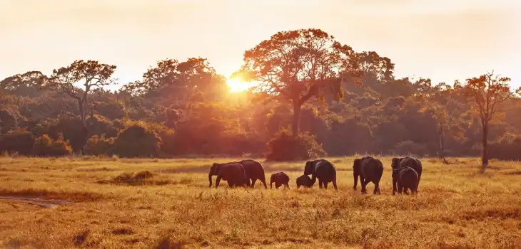 madhya pradesh tourism