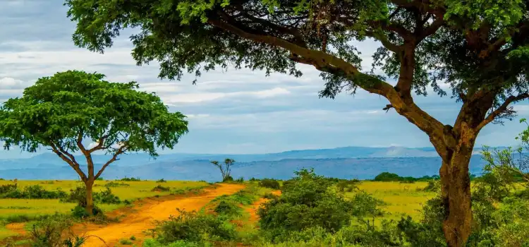 madhya pradesh tourism