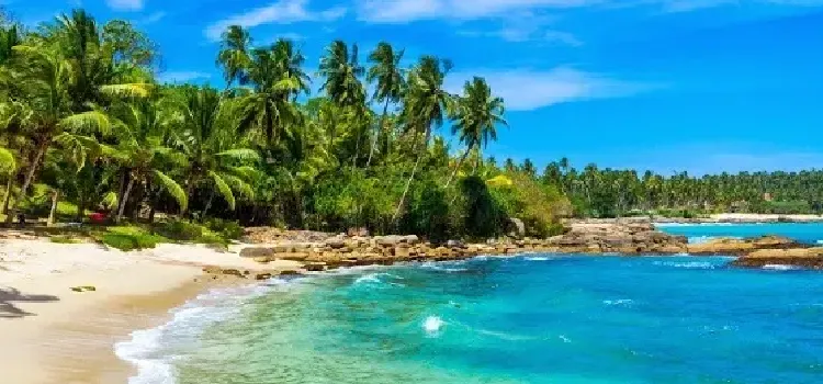 Swim in the Arabian Sea