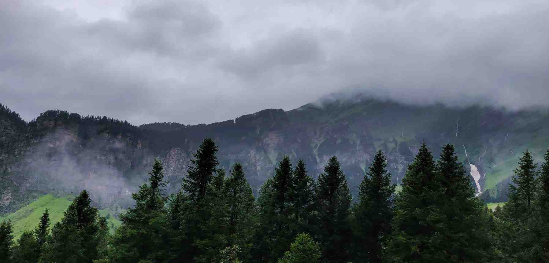 Visit the Manali Sanctuary