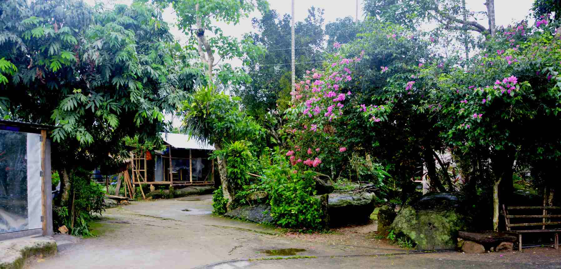 Exploring Mawlynnong