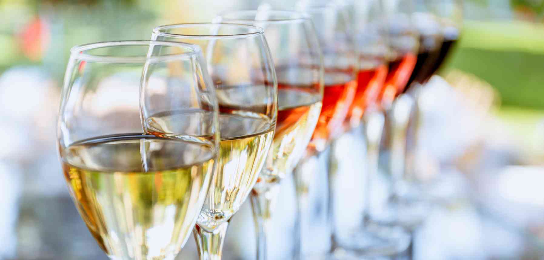 Go Wine Tasting in La Rioja