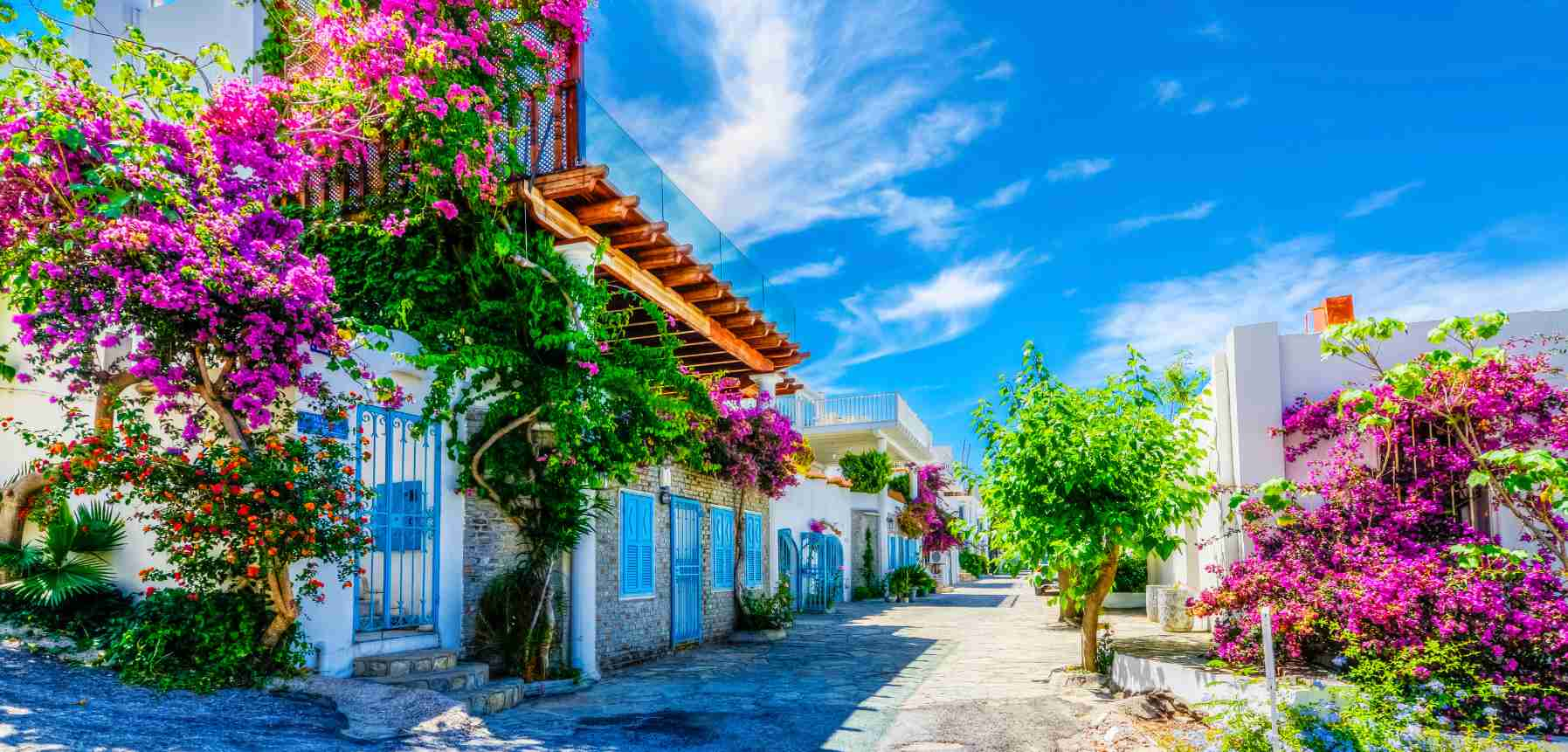  Bodrum: Turkish Riviera