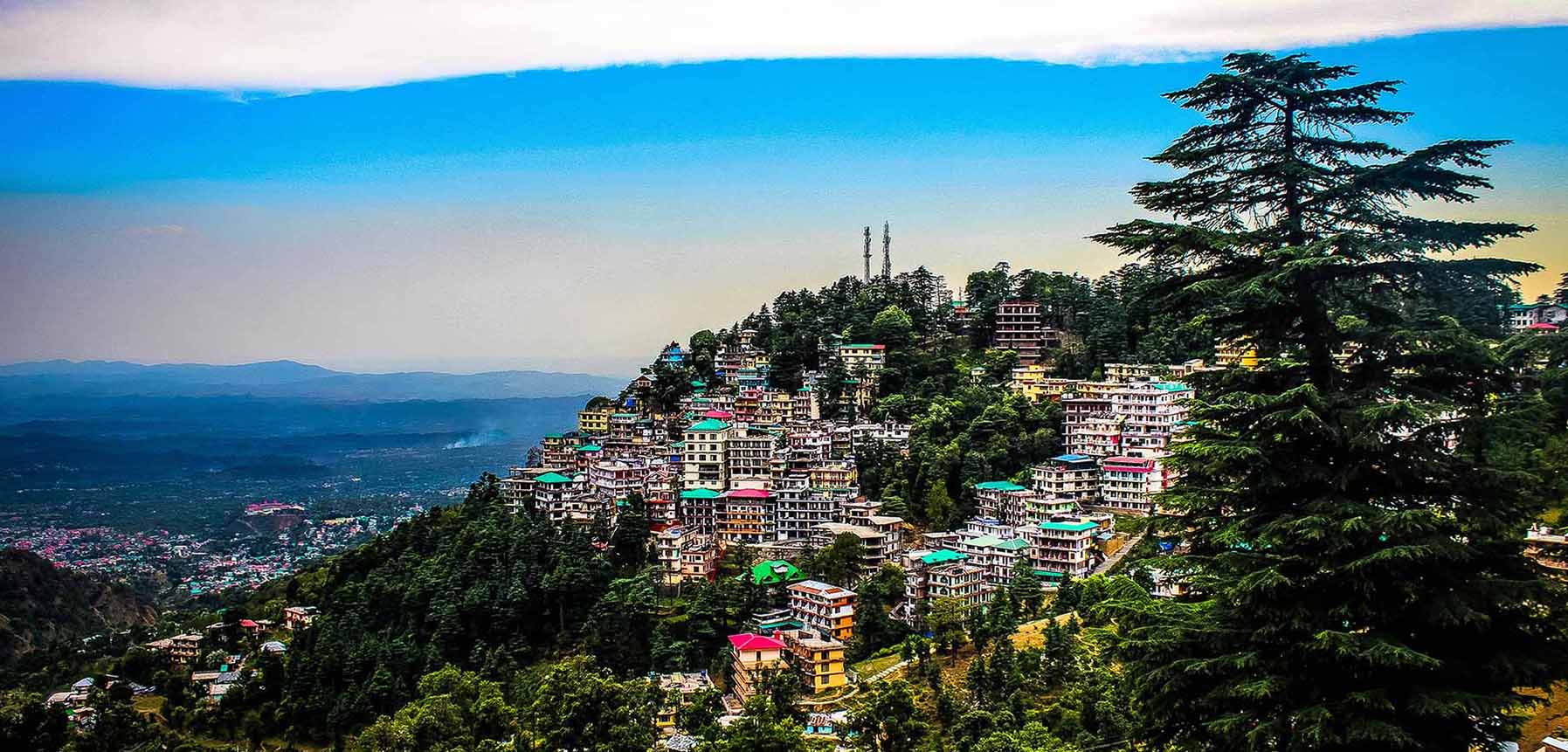 McLeod Ganj: Where Spirituality Meets Tibetan Culture