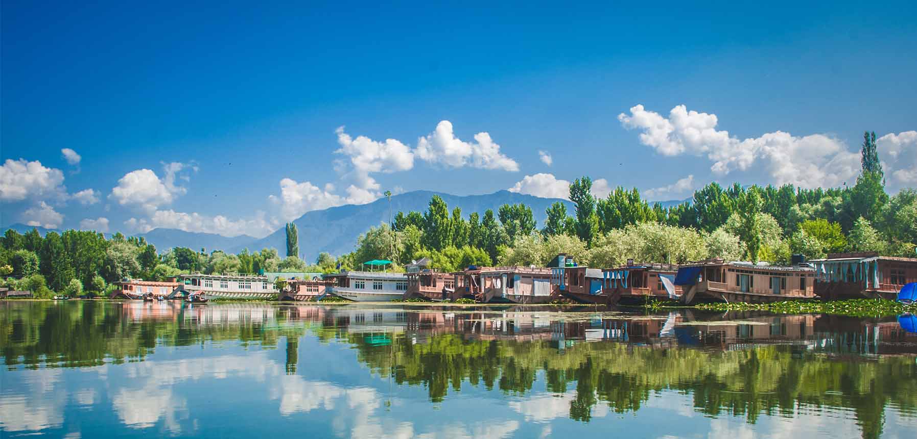 Dal Lake: Nature's Retreat in Dharamshala