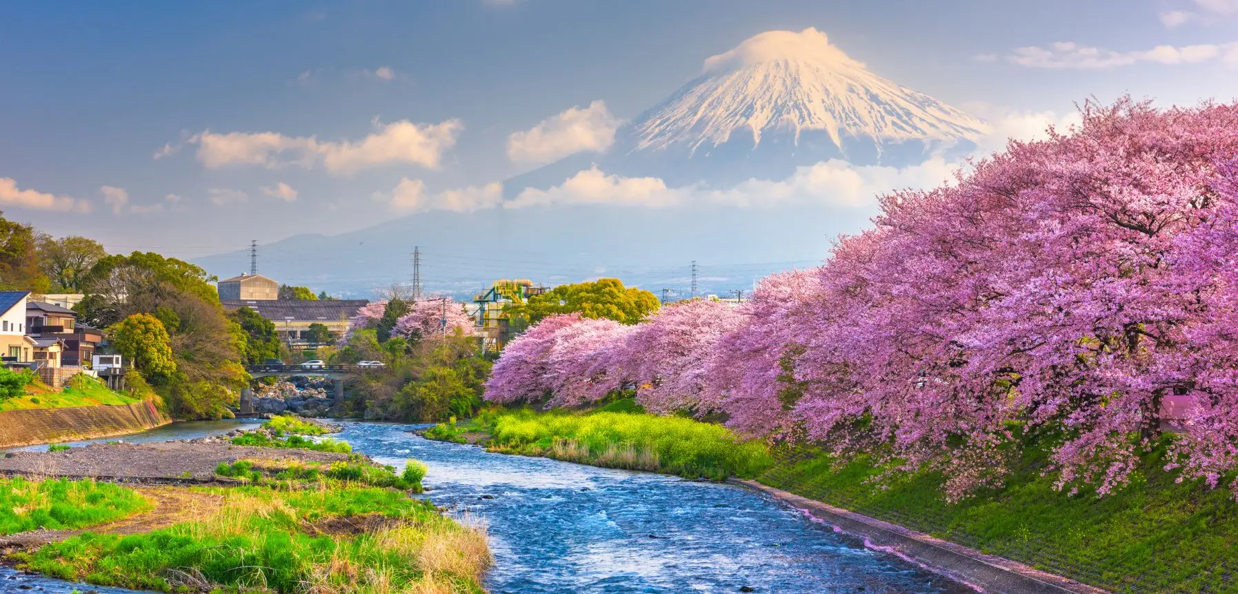  solo  female traveling in japan