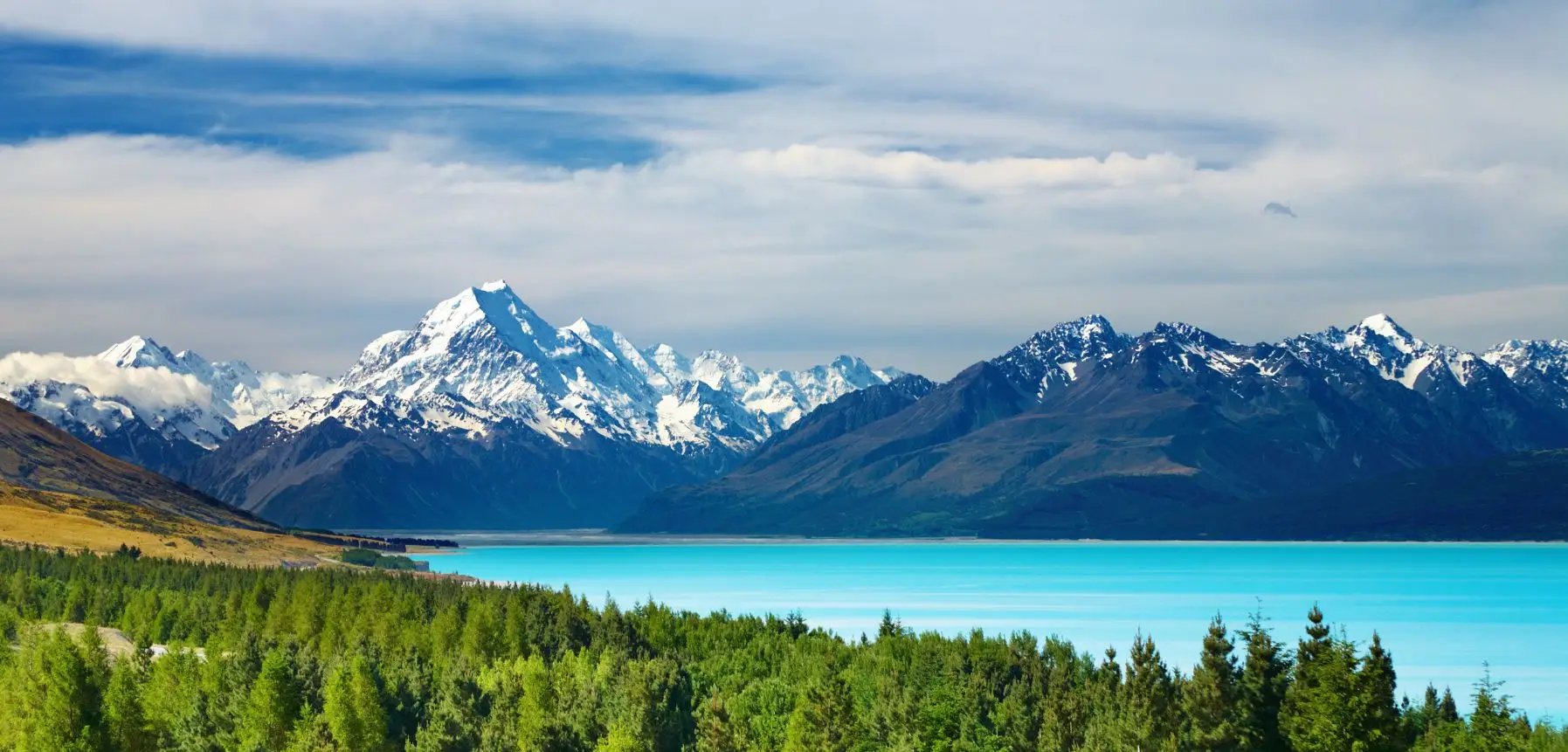 solo  female traveling in new zealand