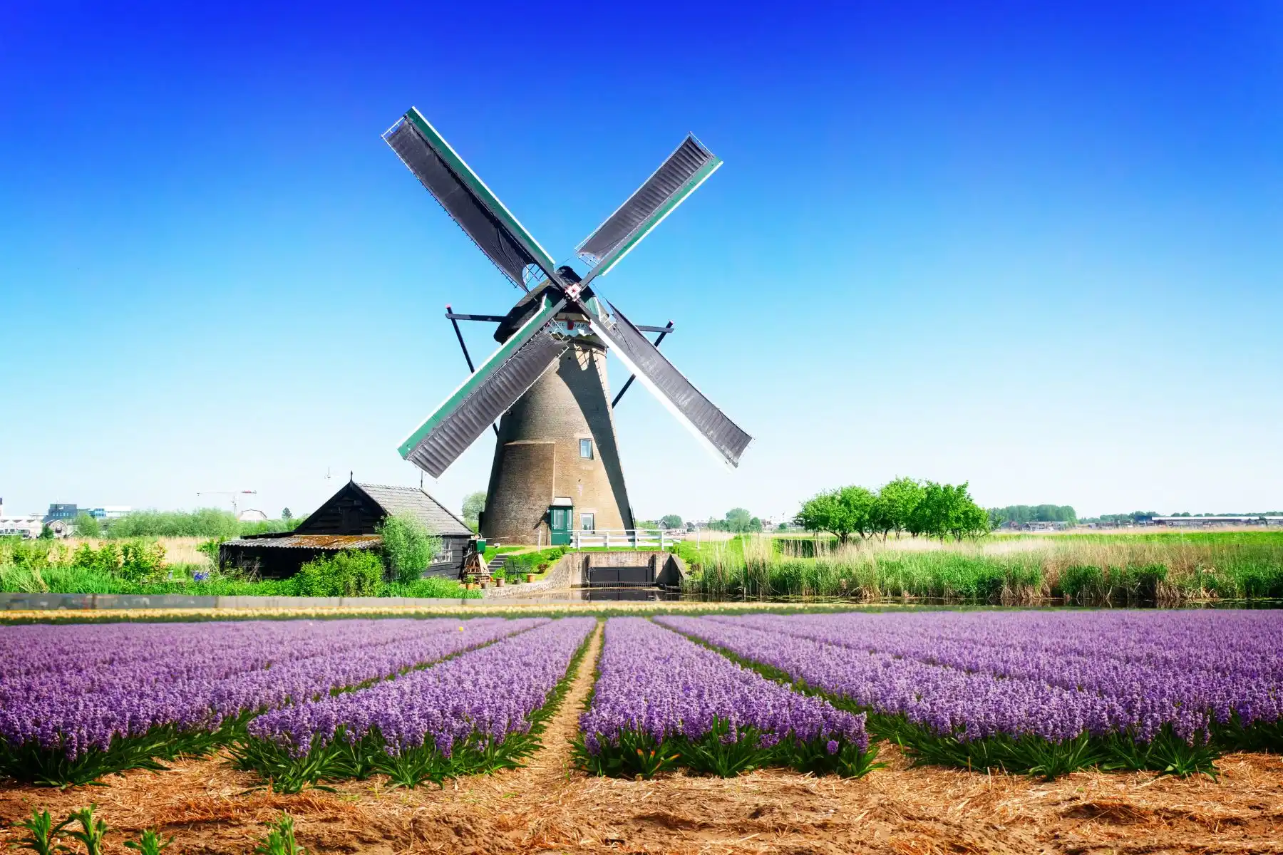 Top Things To Do In Amsterdam