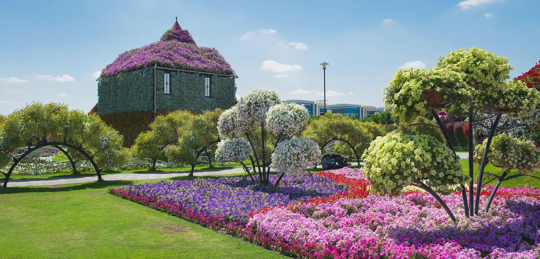 Miracle garden