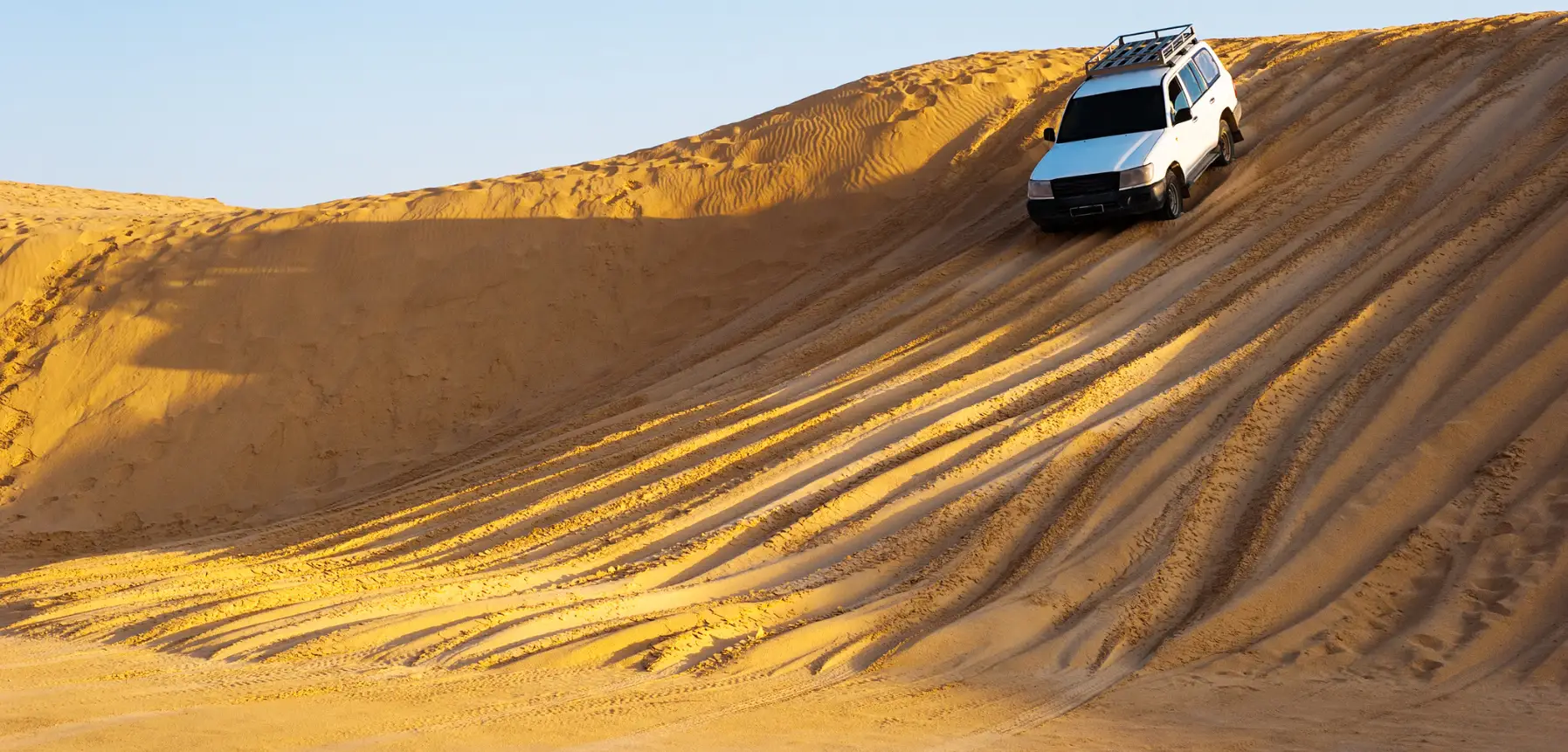 Desert Safari
