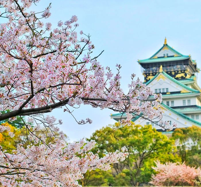 japan
