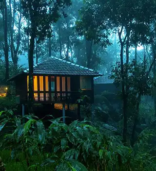 luxury tour packages