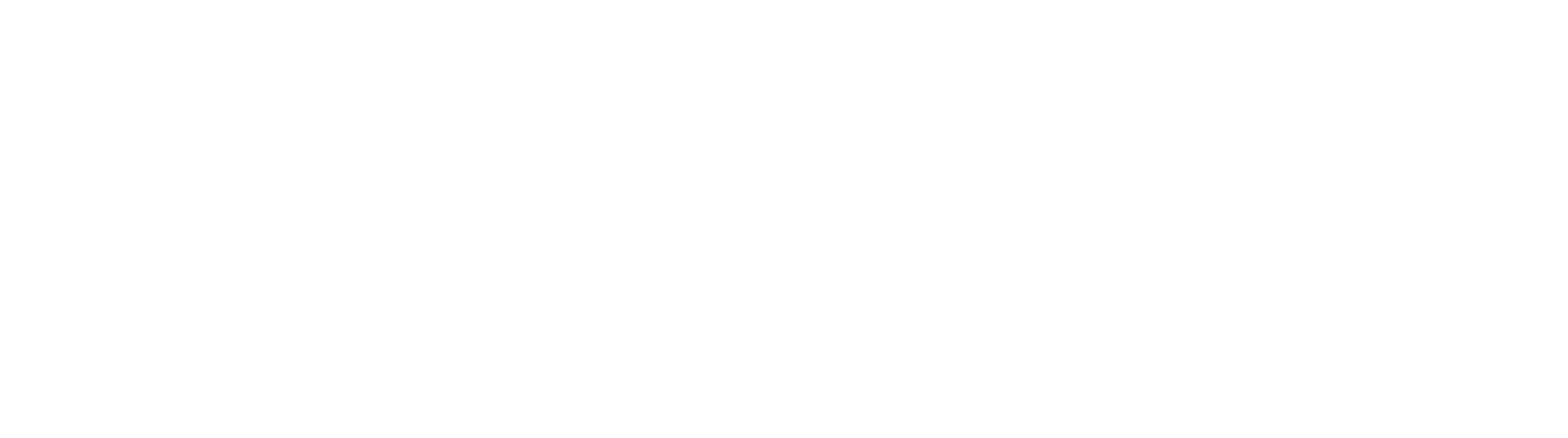 tripzygo